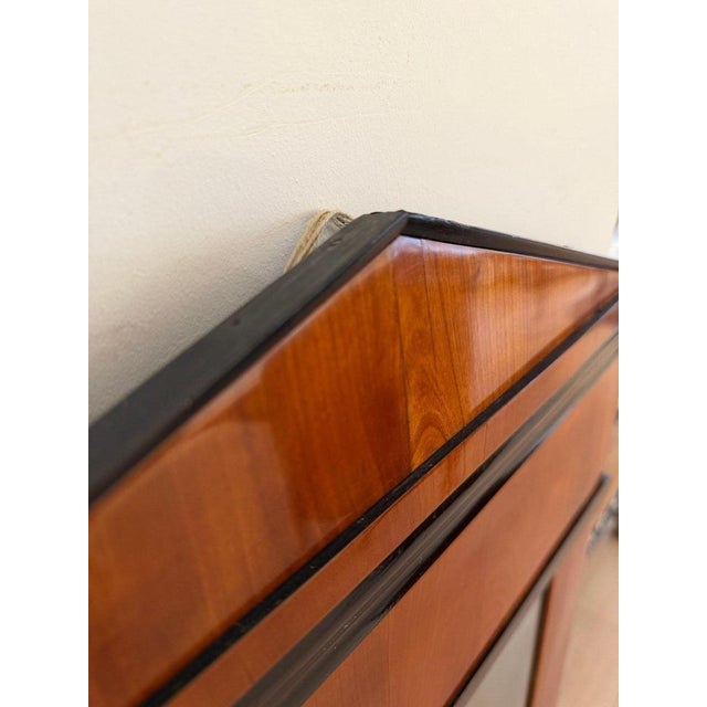 Biedermeier Wall Mirror in Ebonized Cherry Veneer, South Germany, 1820 For Sale - Image 17 of 18