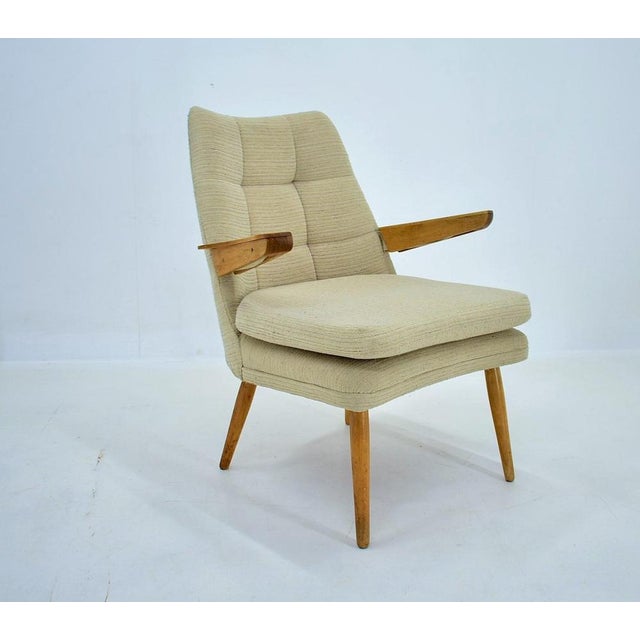 Vintage Armchair, Czechoslovakia, 1950s For Sale - Image 18 of 18