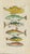 Original antique natural-history fish plate, Tab. III, depicting six unusual fish species arranged vertically and...
