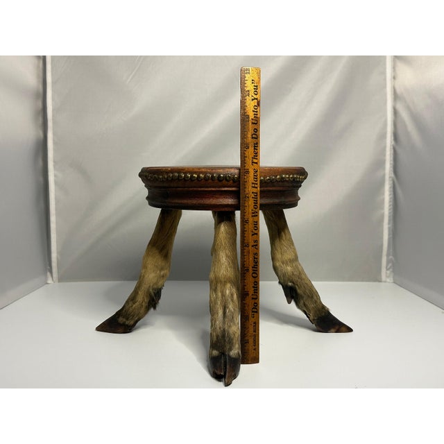 Antique Taxidermy Deer Hoof Mahogany Stool For Sale - Image 9 of 10