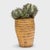 This wooden vessel is an early 20th-century brush pot, a container used to hold select calligraphy brushes in a...