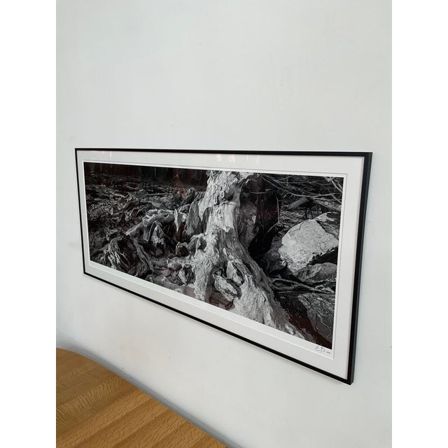 Original Large Print Photograph by Durham, Nc Artist Elliot Blumberg For Sale - Image 10 of 11