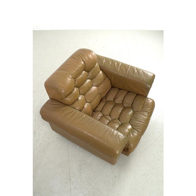Brown Set of Ds-P 2-Seater & Armchairs from de Sede For Sale - Image 8 of 16