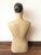 Mid 20th Century Mid 20th Century Art Deco Plaster Bust, Painted Mannequin For Sale - Image 5 of 6