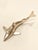 Hollywood Regency Vintage Brass Shark Figurine For Sale - Image 3 of 6