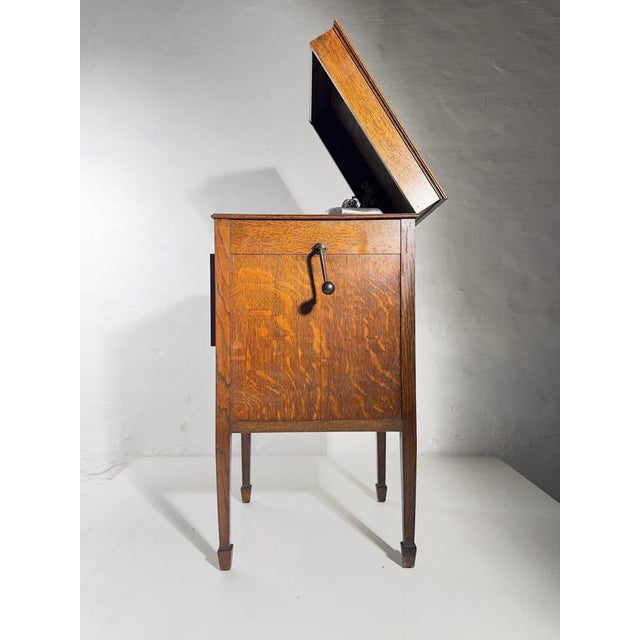 Vintage Viva-Tonal Grafonola Wind-Up Gramophone in Oak Case from Columbia, 1920s For Sale - Image 13 of 16