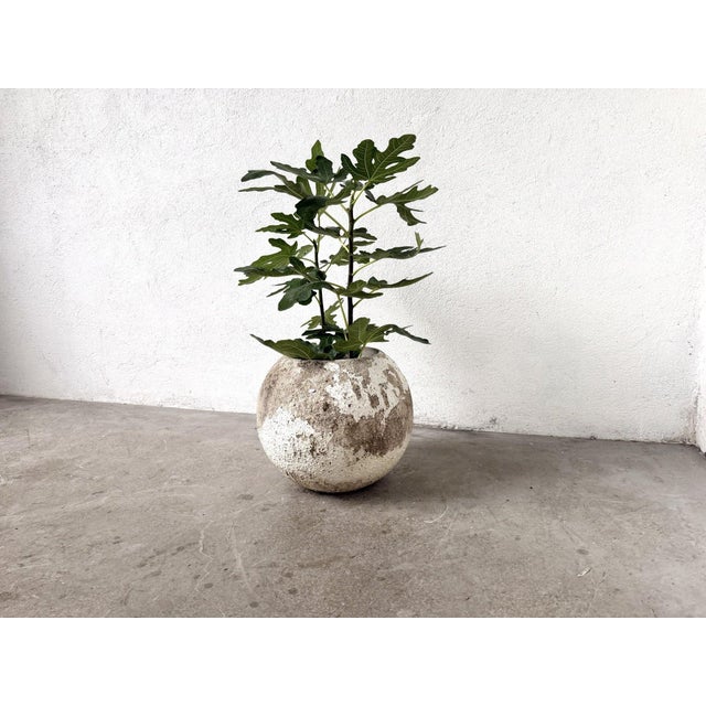 Spherical Planter Made of Fiber Cement, DLG Willy Guhl, 1960s For Sale - Image 9 of 9