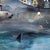 Babel presents a surreal juxtaposition of nature and architecture, featuring a polar bear emerging from icy waters, its...