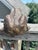 Bronze Frog Sculpture For Sale - Image 4 of 11