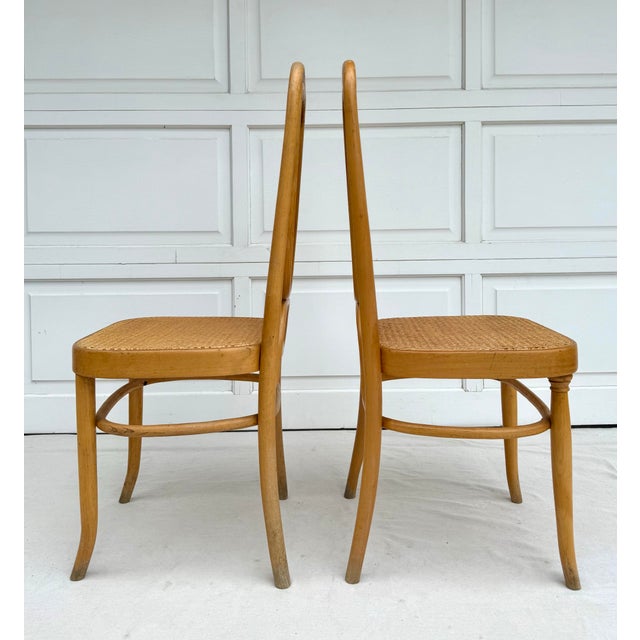 Thonet Pair of Cane and Bentwood Thonet-Style Chairs For Sale - Image 4 of 12