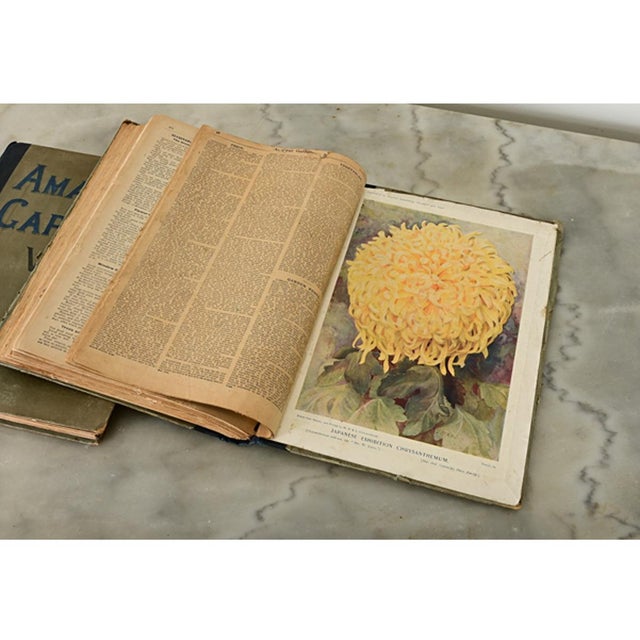 English English Early 20th Century Amateur Gardening Books - Set of 2 For Sale - Image 3 of 9