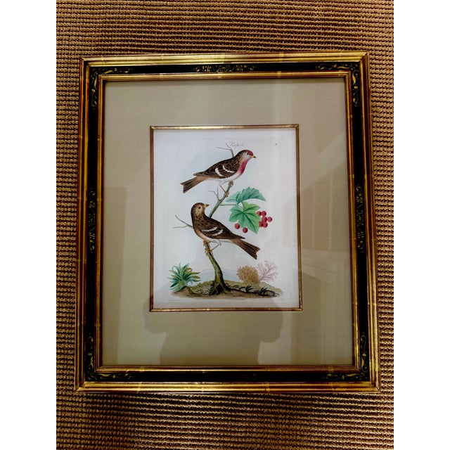 English Set of 4 Antique English James Bolton Engravings From Harmonia Ruralis 1845 For Sale - Image 3 of 7