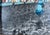 Paris Boulevard on a Spring Morning For Sale - Image 4 of 6