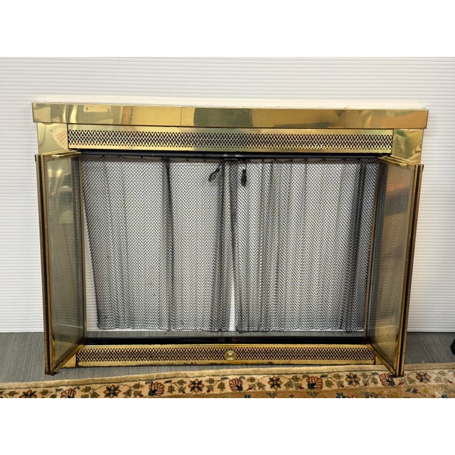 Traditional Jenson Distribution Traditional Fireplace Doors For Sale - Image 3 of 12