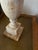 1950s Mid 20th Century Neoclassical Carved Stone Italian Alabaster Urn Lamp For Sale - Image 5 of 11
