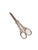 Danish Art Nouveau Grapes Scissors, 1920s For Sale - Image 4 of 7