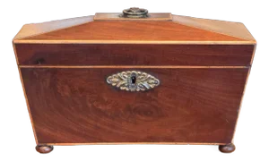 19th Century English Regency Tea Caddy