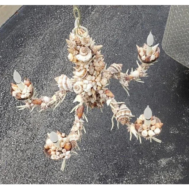 Shell Nautical Natural Sea Shell Chandelier For Sale - Image 7 of 9