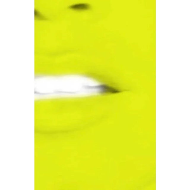 Atomic Yellow, Signed limited edition Pop Art, Brigitte Bardot 2023 For Sale - Image 3 of 5