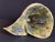 1980s Support an Artist! Hand Made Monstera Leaf Ceramic Vase Artist Signed For Sale - Image 5 of 7