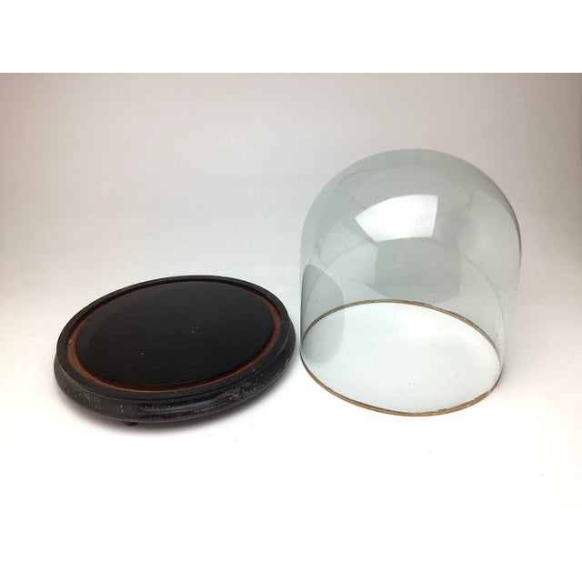 Antique Hand Blown Glass Cloche Dome with Wood Base11.5” by 11”tall. This piece is an original untouched condition. The...