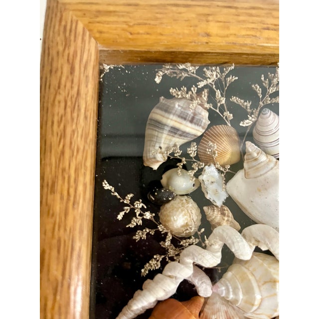 Vintage Wood Framed Seashell Shadow Box Folk Art Wall Sculpture For Sale - Image 10 of 12