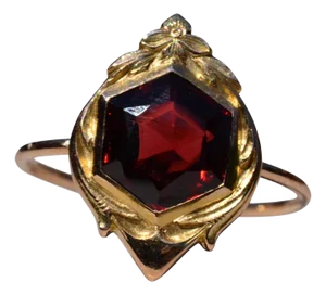 The West Park: Antique Hexagonal Shaped Garnet with Art Nouveau Frame