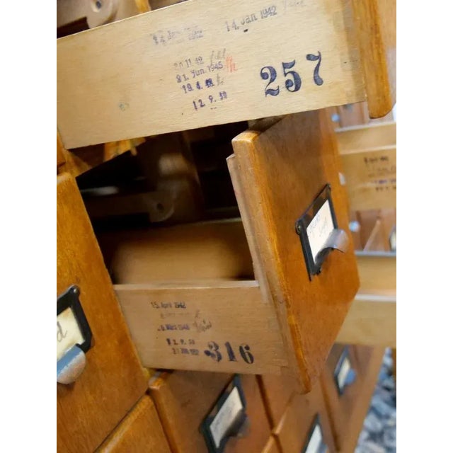 Oak Cabinet with 40 Drawers, Germany, 1930s or 1940s For Sale - Image 18 of 18