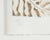 Contemporary Limited Edition Lithograph by Yvonne Cheng For Sale - Image 3 of 8