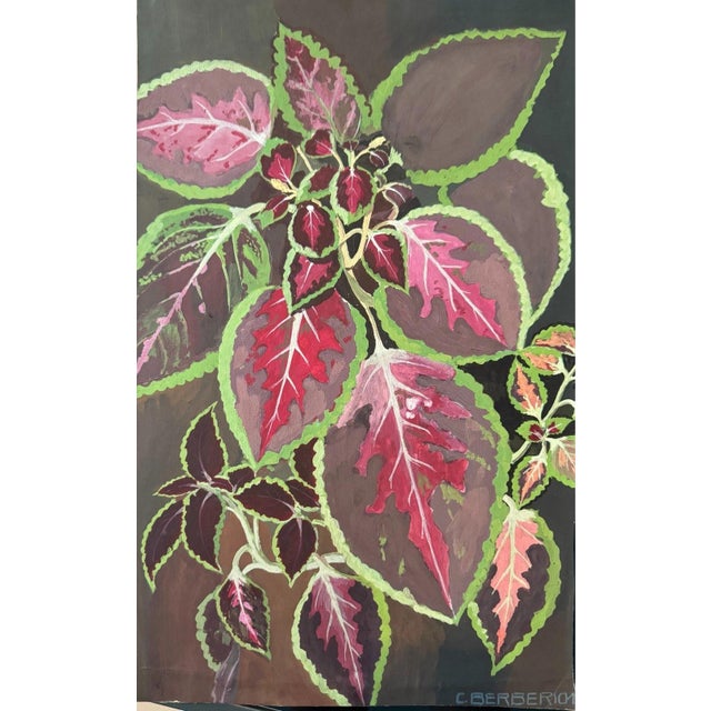 Carl H. Berberich, Coleus Plant Still Life, Oil Painting on Canvas For Sale - Image 11 of 11