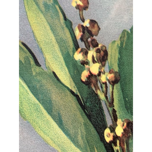 Vintage Catherine Klein Framed Lithograph Roses For Sale - Image 4 of 12