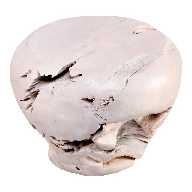 Bleached White Teak Root Accent or Side Table or Stool 24 For Sale