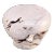 Bleached White Teak Root Accent or Side Table or Stool 24 For Sale