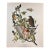 1964 Audubon Folio Lithograph Great Bird Paintings – “Broad Wing Hawk” 17x14 For Sale
