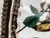 Pair of Fine Porcelain and Bronze Vases With Bird and Insect Motiff For Sale - Image 9 of 9