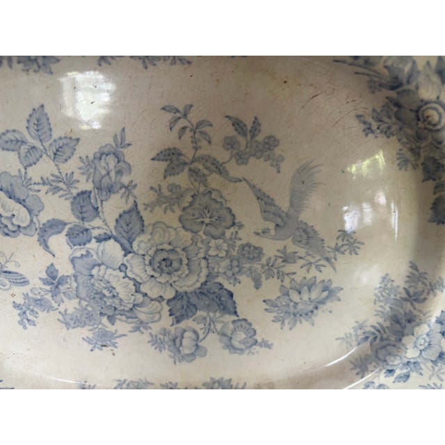 A 19th C English platter in the Asiatic Pheasant design. The platter has a cornflower pblue transfer ware design and a...