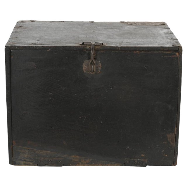 19th Century Apothecary Trunk For Sale