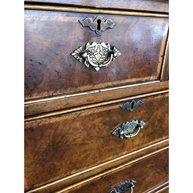 Yorkshire House Burl Chest For Sale In Tampa - Image 6 of 11