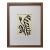 2026 "Il Decesso" Contemporary Abstract Botanical Painting on Paper by Artist r.k. Red For Sale