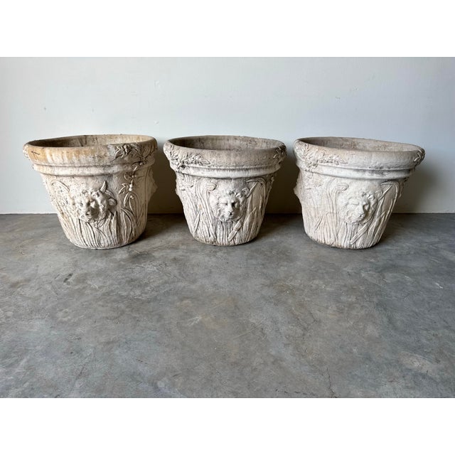 Vintage Palm Beach Neoclassical-Style Cement Planters With Lion Head Relief - Set of 3 For Sale - Image 12 of 12