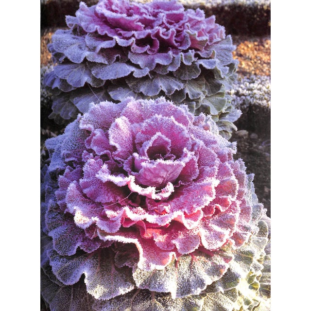 Paper "Gardens in France" 1997 Valery, Marie-Francoise [Text By] For Sale - Image 7 of 11