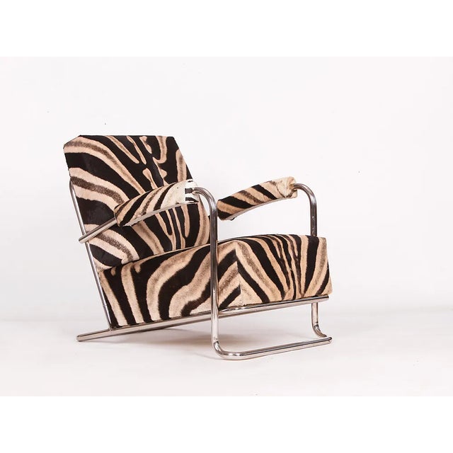1930s Zebrafell Tubular Steel Chair from Hynek Gottwald, 1930s For Sale - Image 5 of 10
