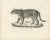Jaguar, 1836, Lithograph For Sale - Image 6 of 10