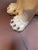 White Vintage Italian White Cougar Panther Cat Life Size Statue For Sale - Image 8 of 10