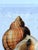 Golden Conch Shell - Hand-Executed Textured Wall Art | Michele Stone Collection For Sale - Image 6 of 8