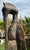 Antique Senufo Hornbill Bird Sculpture (Porpianong) Carved Wood Statute, Côte D’Ivoire – 40” Tall For Sale - Image 12 of 18