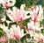 "Magnificent Magnolia" Contemporary Original Impressionist Style Botanical Painting on Canvas by Sandy Welch For Sale