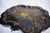 English Late 19th Century Regency Black Lacquered Papier-Mache Tray Table For Sale - Image 3 of 16