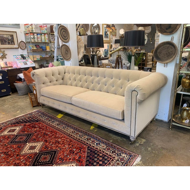 Contemporary Chesterfield Beige Velvet 100" Sofa Chairish