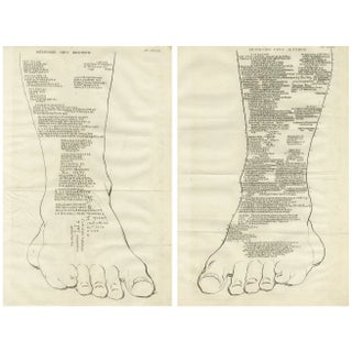 Inscriptions on the Legs of the Colossus of Memnon Greek & Latin Graffiti, Paper, Set of 2 For Sale